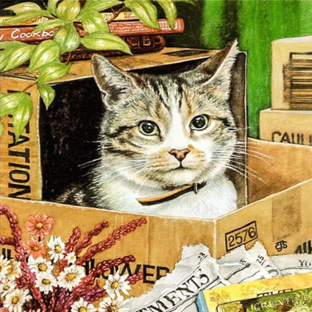 Kit peinture diamant 5D chat mosaïque strass ronds broderie canevas 50x50