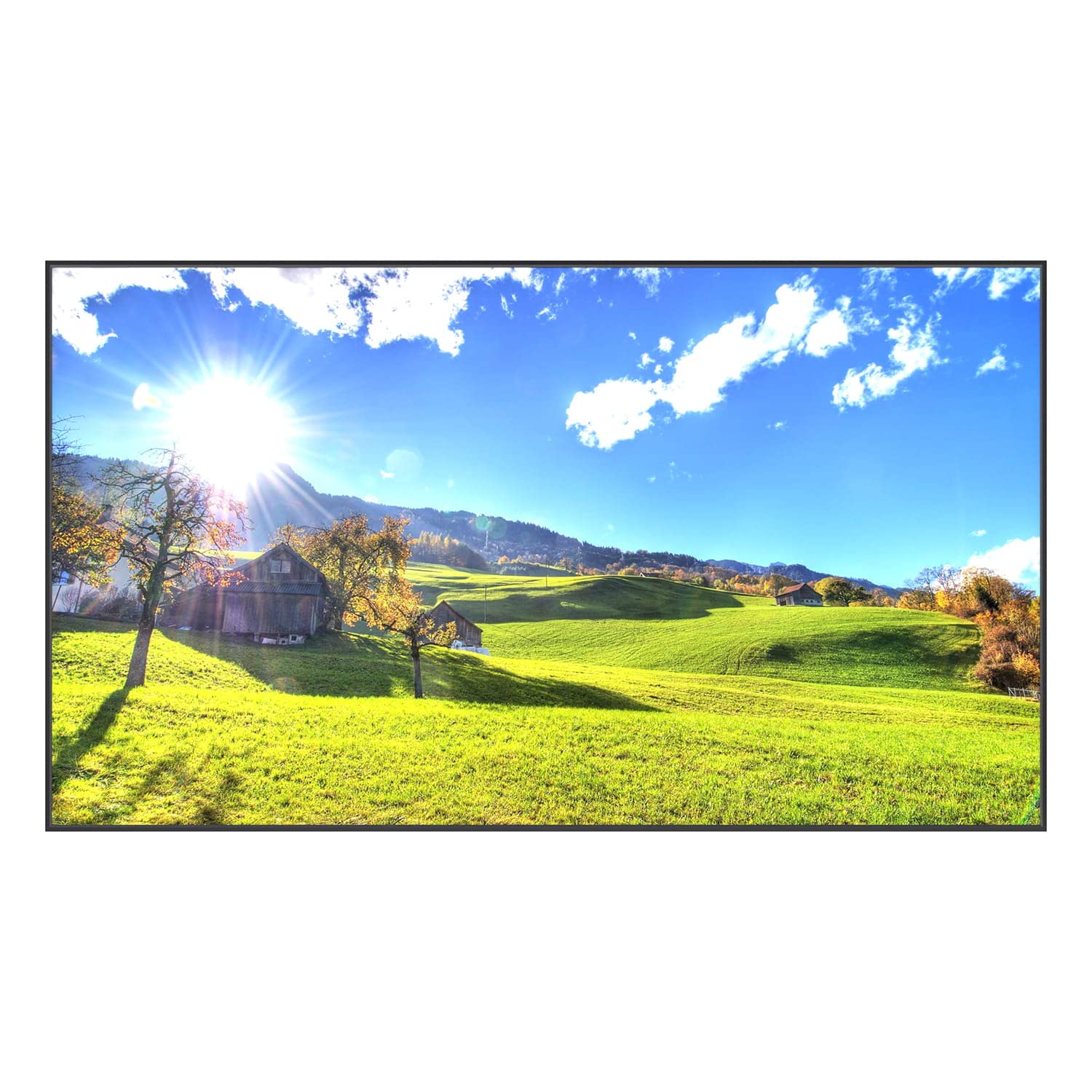 True 1500 Nits 49 Inch Sun Readable Smart Outdoor TV for Outdoor Covered Area, High Brightness Outdoor Television, 4K UHD HDR