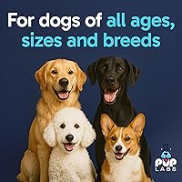 Vista 6 de Pup Labs Tummy Essentials - Probióticos masticables para perros, apoya la salud intestinal para perros y heces firmes, ayuda a eliminar
