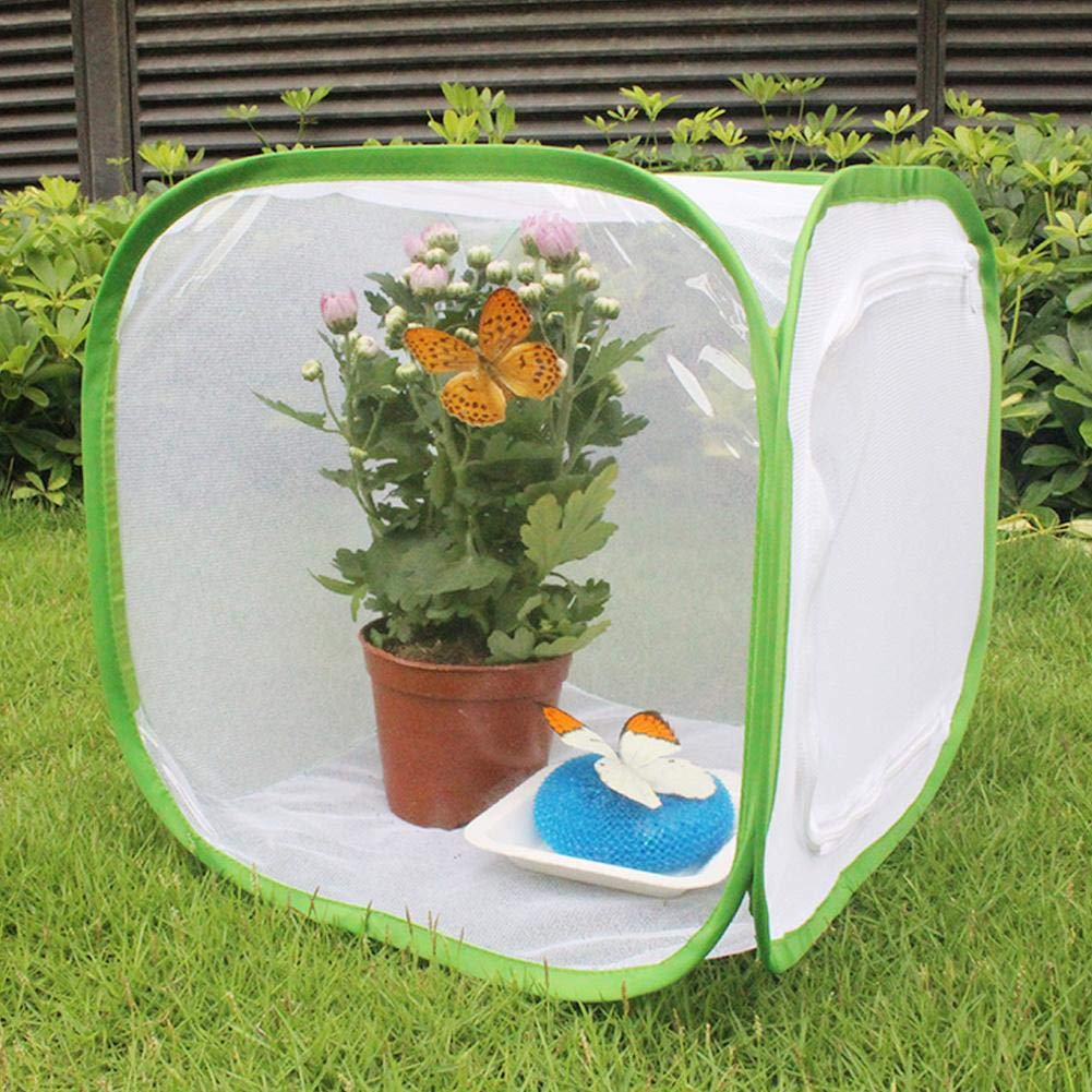 Grande Cage d'habitat pour Insectes et Papillons, Cage d'élevage ventilée avec matériau en de Fil de Polyester, Habitat Portable en Chenille, pour cultiver des Insectes (30 x 30 x 30 cm)