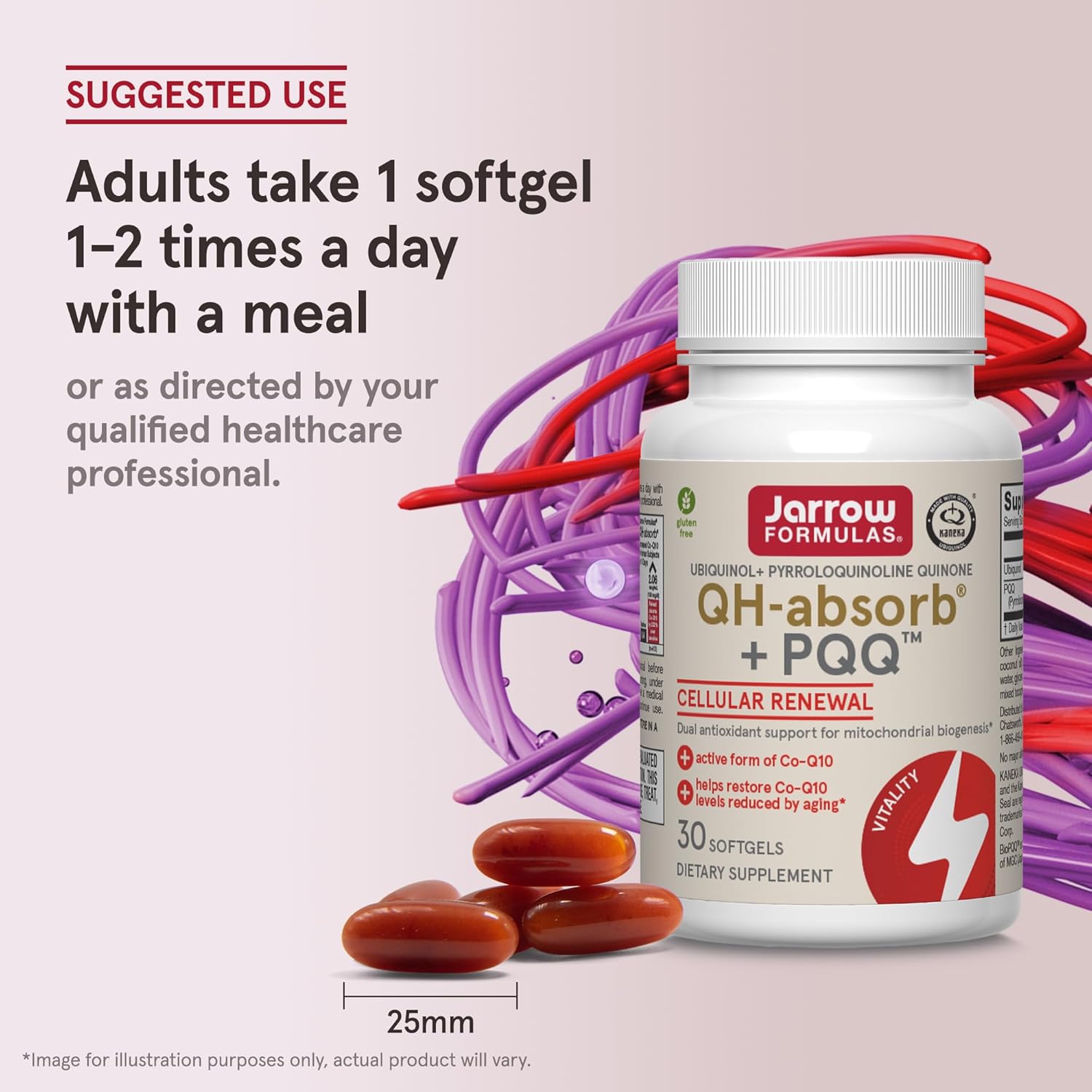 Jarrow Formulas QH-absorb + PQQ - 30 Softgels - Dietary Supplement Supports Mitochondrial Biogenesis, Energy Production & Cardiovascular Health - Up to 30 Servings