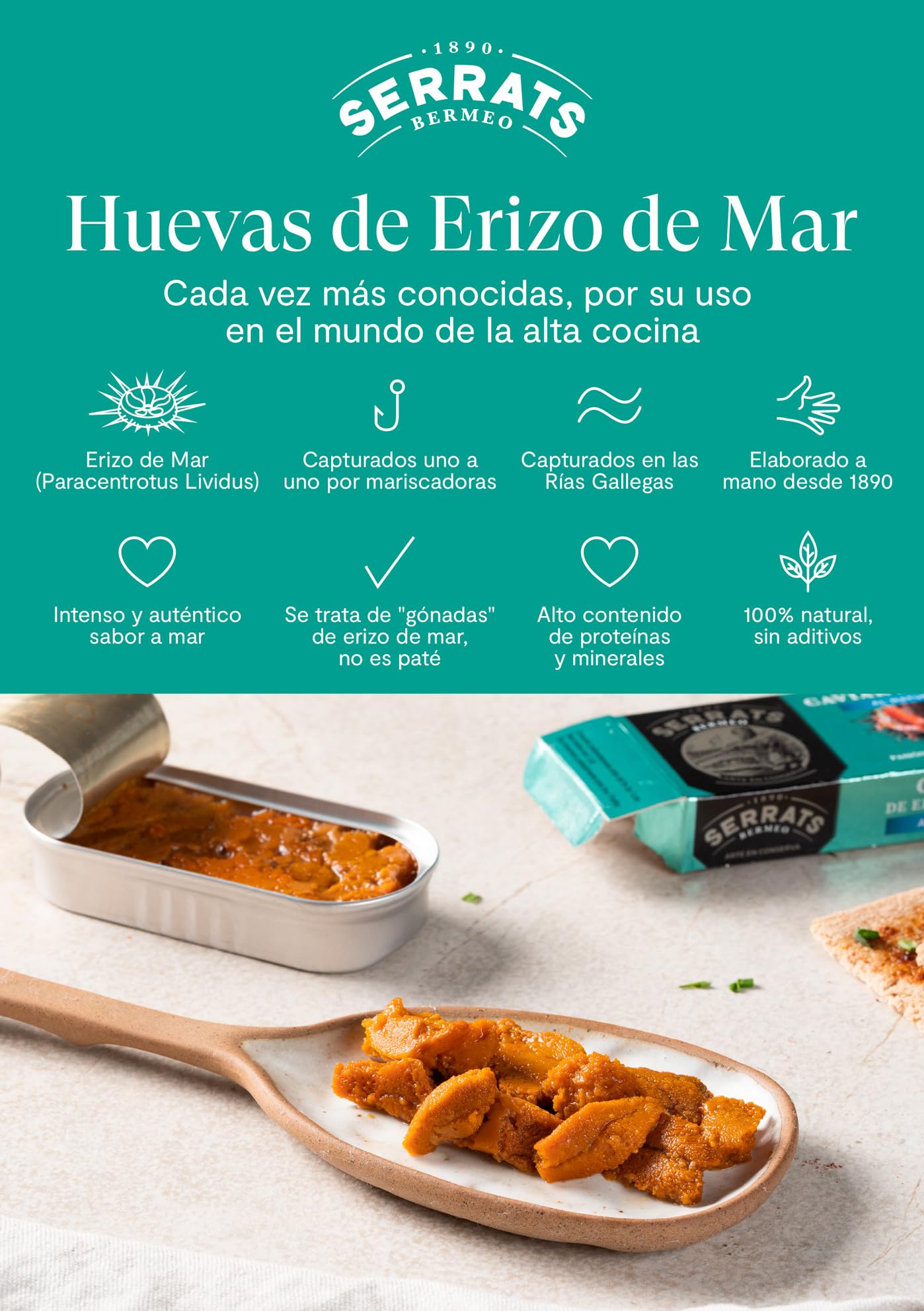 CONSERVAS SERRATS - Caviar de Erizo de Mar de las Rías Gallegas al Natural - 6 Latas x 50g (Total: 300g) - Huevas Seleccionadas a Mano - Sabor Intenso - Elaboración Artesanal desde 1890