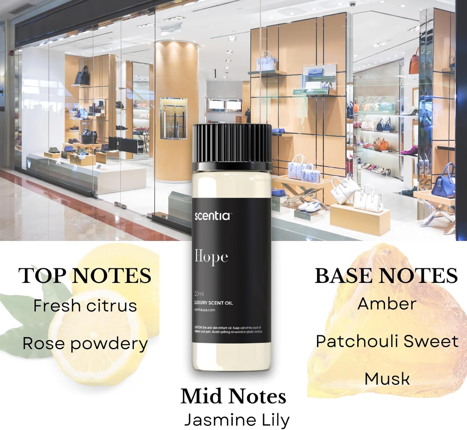 Perfume-Inspired Essential Oil Set – 3×20 ml Diffuser Oils with Floral & Woody Notes | Designer Fragrance Blends for Home, Spa & Aromatherapy - Thanksgiving & Holiday Gift - Image 3