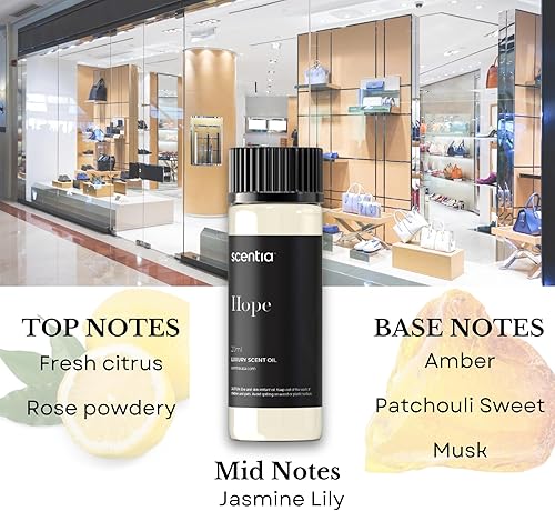 Miniatura 4 de Juego de aceites esenciales inspirados en perfumes, 3 aceites difusores de 0.7 fl oz con notas florales y amaderadas, mezclas de fragancias de