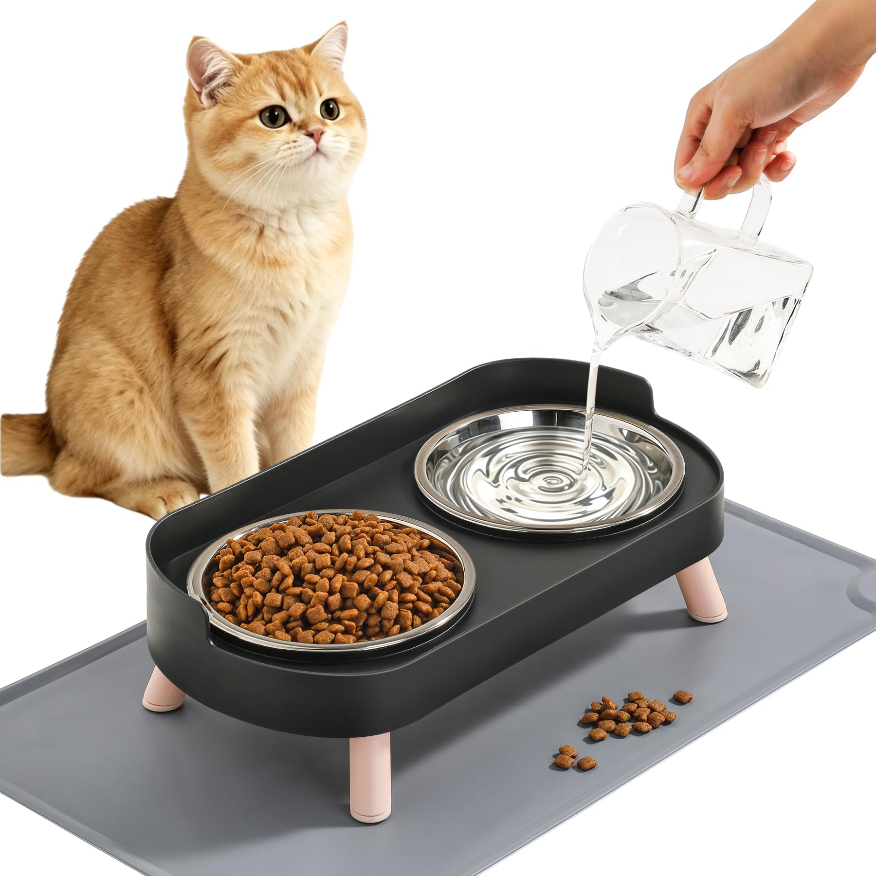 LoeJan Elevated Cat Bowls Set - Raised Cat Food and Water Bowl Set with Non Slip Stand - Pet Feeding Station with 2 Stainless Steel Bowls with Splash Proof Guard