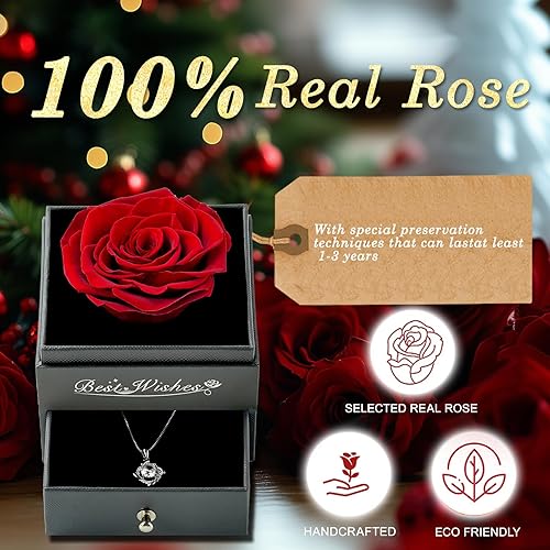 Miniatura 8 de BLOSSBLISS - Rosa roja preservada con collar, juego de regalo de flores eternas para ella, regalo de cumpleaños para mujeres, esposa, novia,