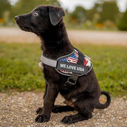 Miniatura 8 de DOGGYKINGDOM Arnés personalizado sin tirones para perro, ajustable, reflectante, transpirable, hebilla de liberación rápida, arnés para perro