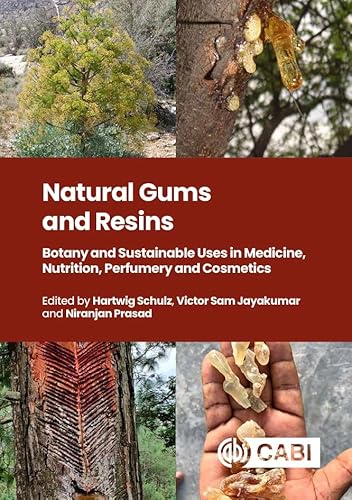 Natural Gums and Resins: Botany and Sustainable Uses in Medicine, Nutrition, Perfumery and Cosmetics (English Edition)