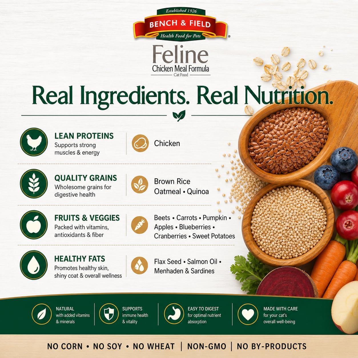 Bench & Field Holistic Premium Dry Cat Food, Chicken Meal & Brown Rice Recipe, Made Without Corn, Wheat, or Soy, All Life Stages, 3 lb Bag (Pack of 1)