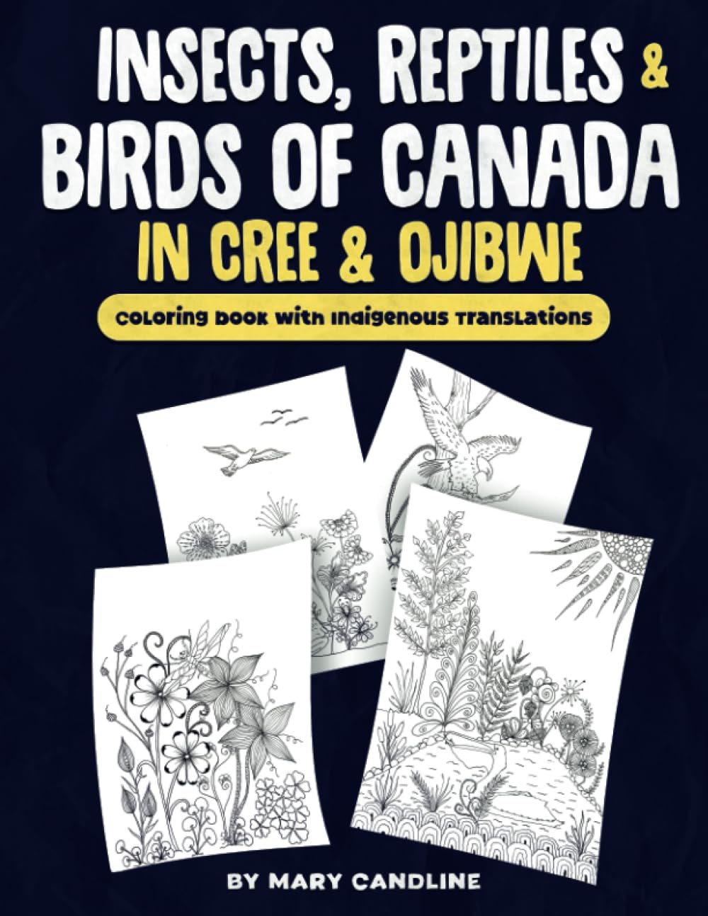 Insects, Reptiles & Birds of Canada in Cree & Ojibwe: Colouring Book with Indigenous translations