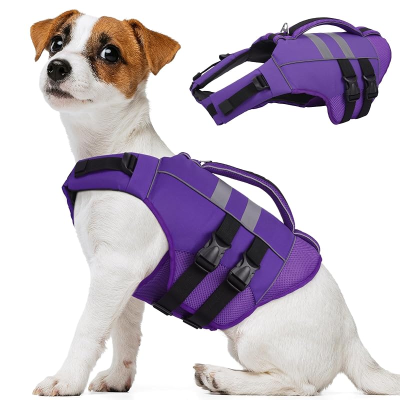 Colete salva-vidas para cães em tecido Oxford com faixas refletivas Kuoser Roxo (Purple) XS