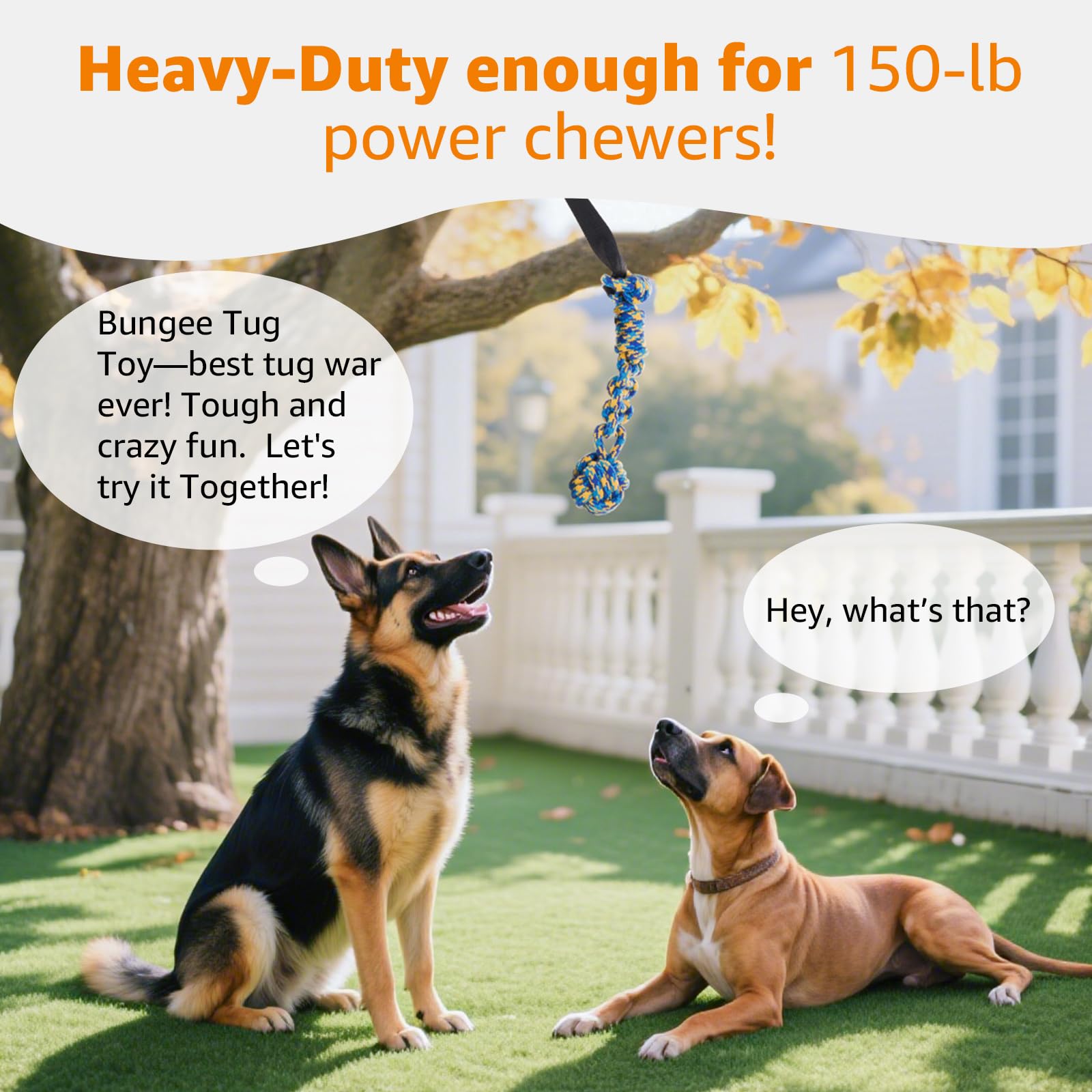 LOOBANI Juguete elástico para Exteriores, Juguete para Perros Colgantes del árbol para Perros pequeños a Grandes, Cuerda de Juego interactiva y Correa con Cuerda para Masticar (Negro)