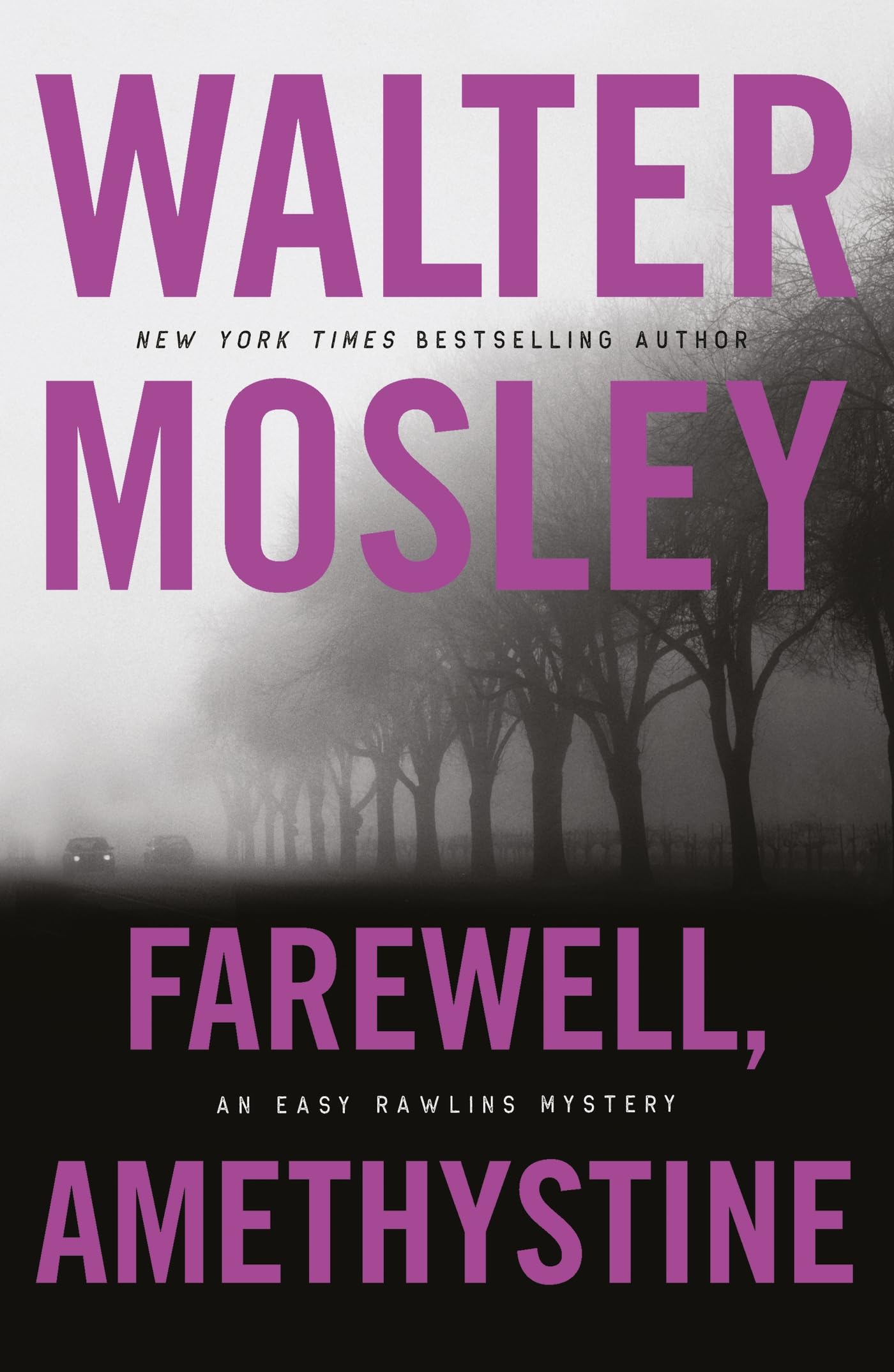Farewell, Amethystine (Easy Rawlins mysteries)