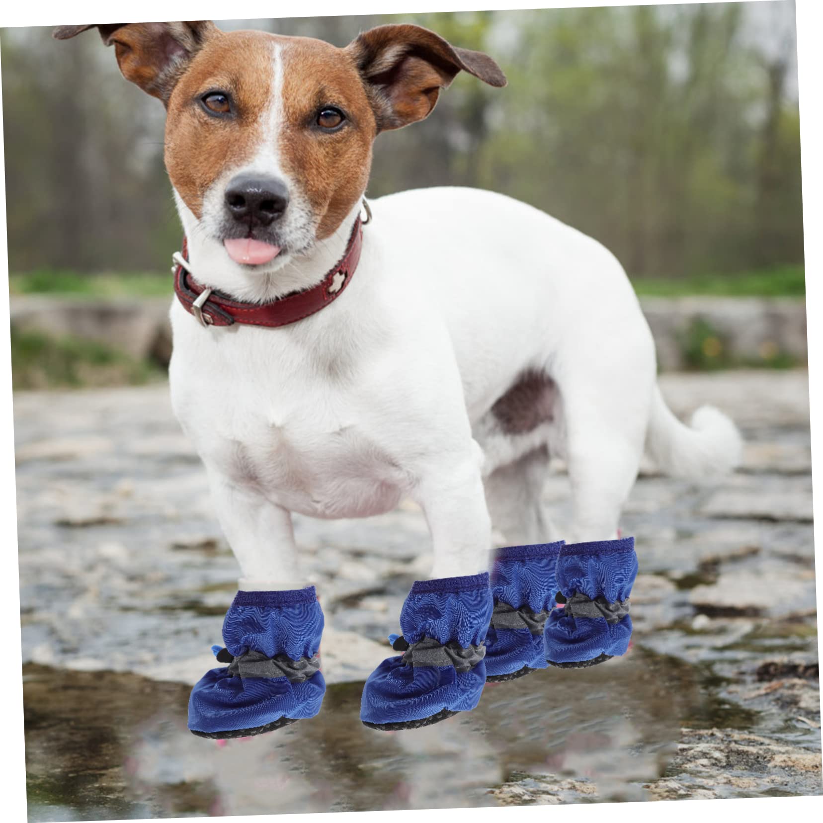 ABOOFAN 9 Set di Stivali da Pioggia per Cani Resistenti Allacqua per Esterni Facili da Indossare