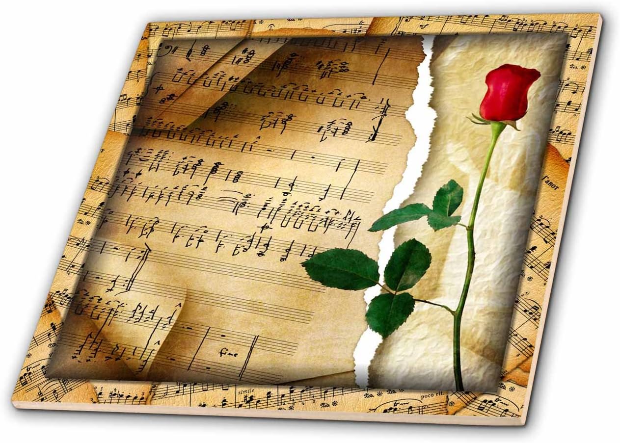 高島大樹さん サキソナ 酒器セット 中国茶