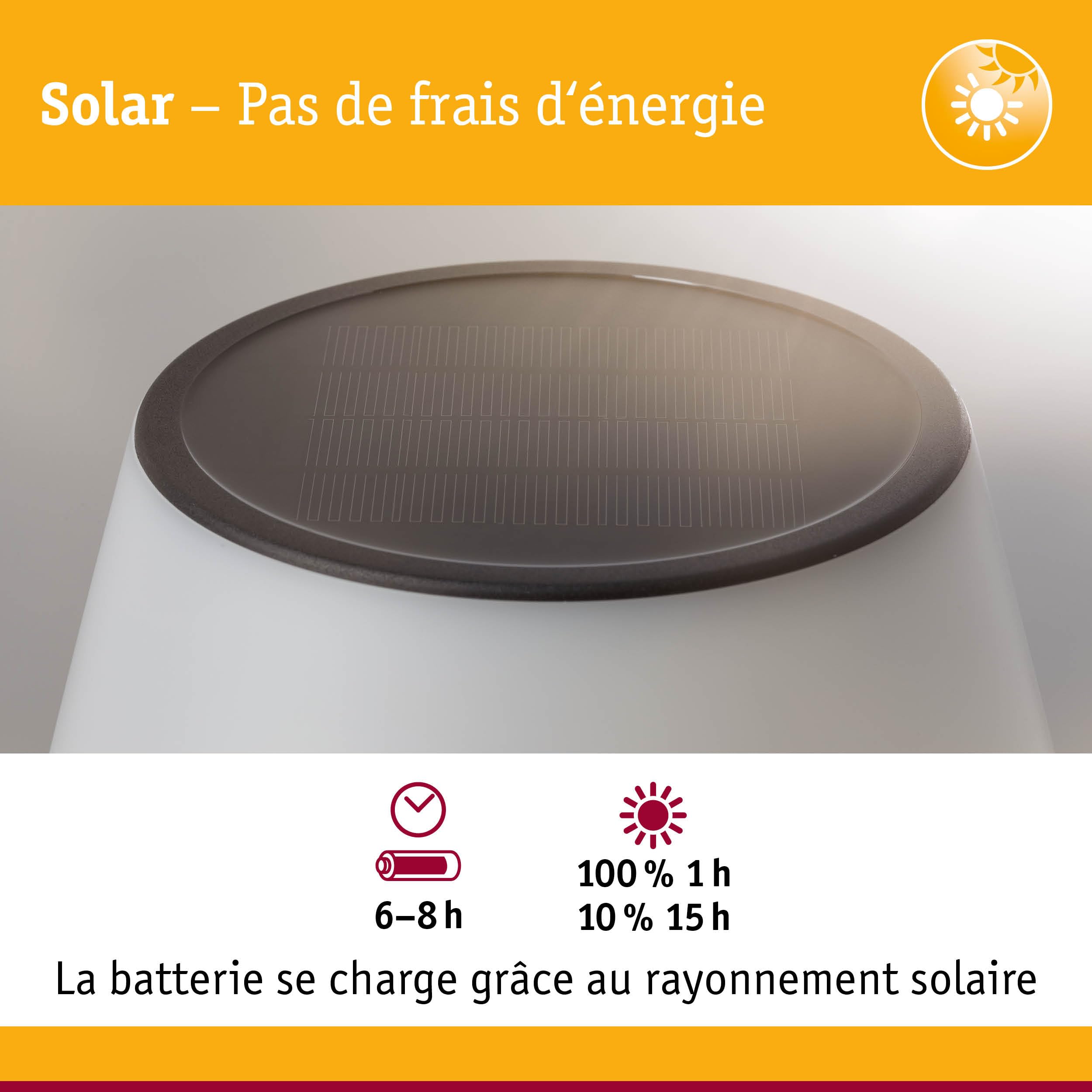 Paulmann 94309 Lampe à poser solaire LED Lillesol Luminaire d'extérieur incl. 1x0,8 watts gradable IP44 Acier inoxydable Éclairage de jardin plastique Métal Blanc chaud 3000 K
