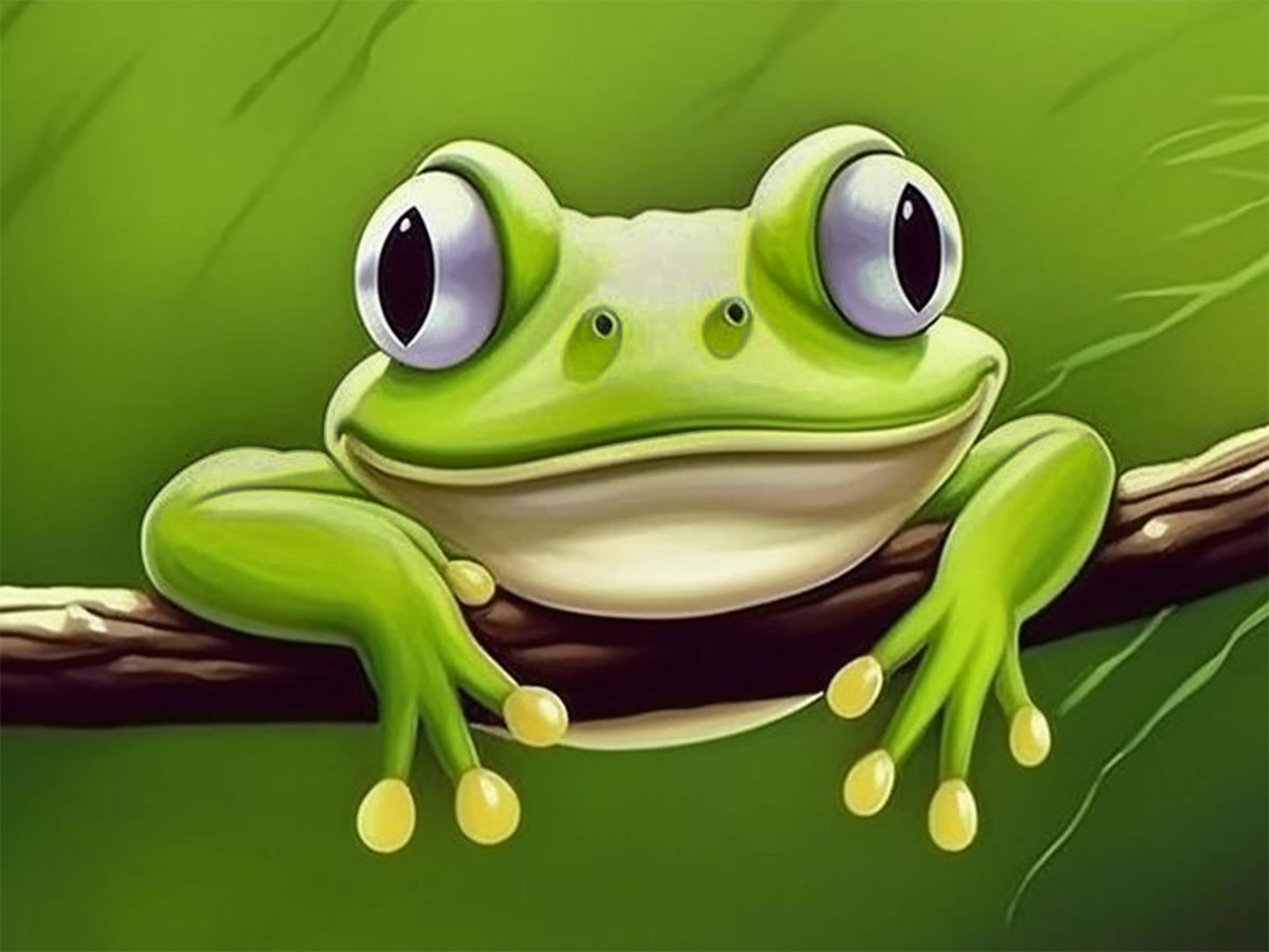 Bimkole 5D Diamond Painting Kits Cute Green Frog, Full Drill Animal Pet DIY Rhinestone Embroidery Set Paint with Diamonds Art by Number Kits Cross Stitch Home Wall Craft Decoration (12x16inch)