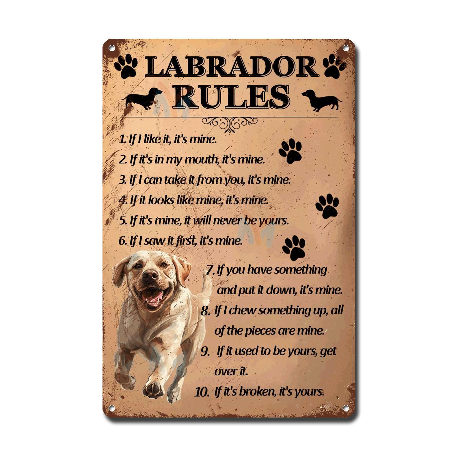 Ymyoo Labrador Metal Sign Tin Sign Vintage Wall Art Rules Toilet Decor Tin Sign For Restaurant 8×12 Inches