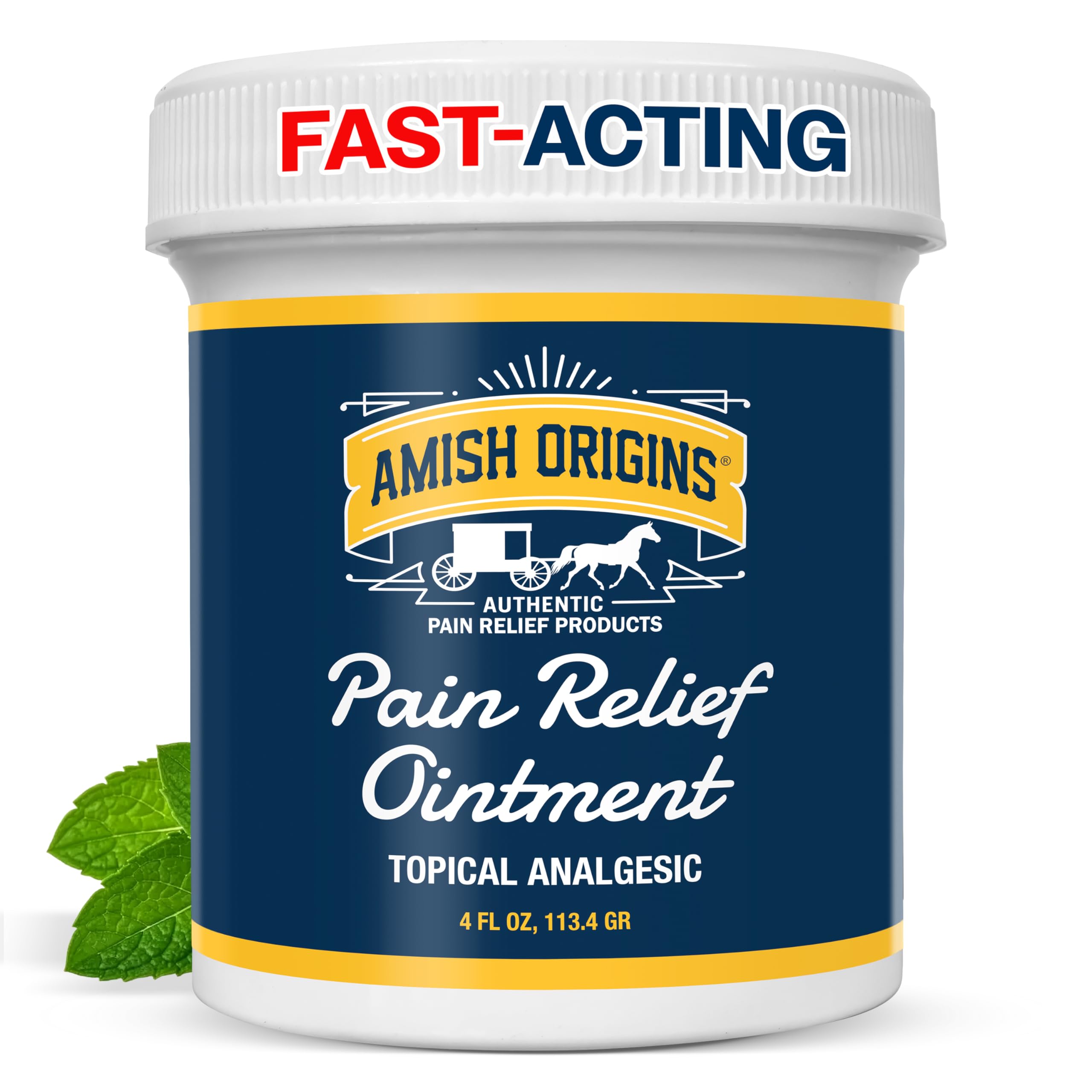 Amish Origins Pain Relief Ointment