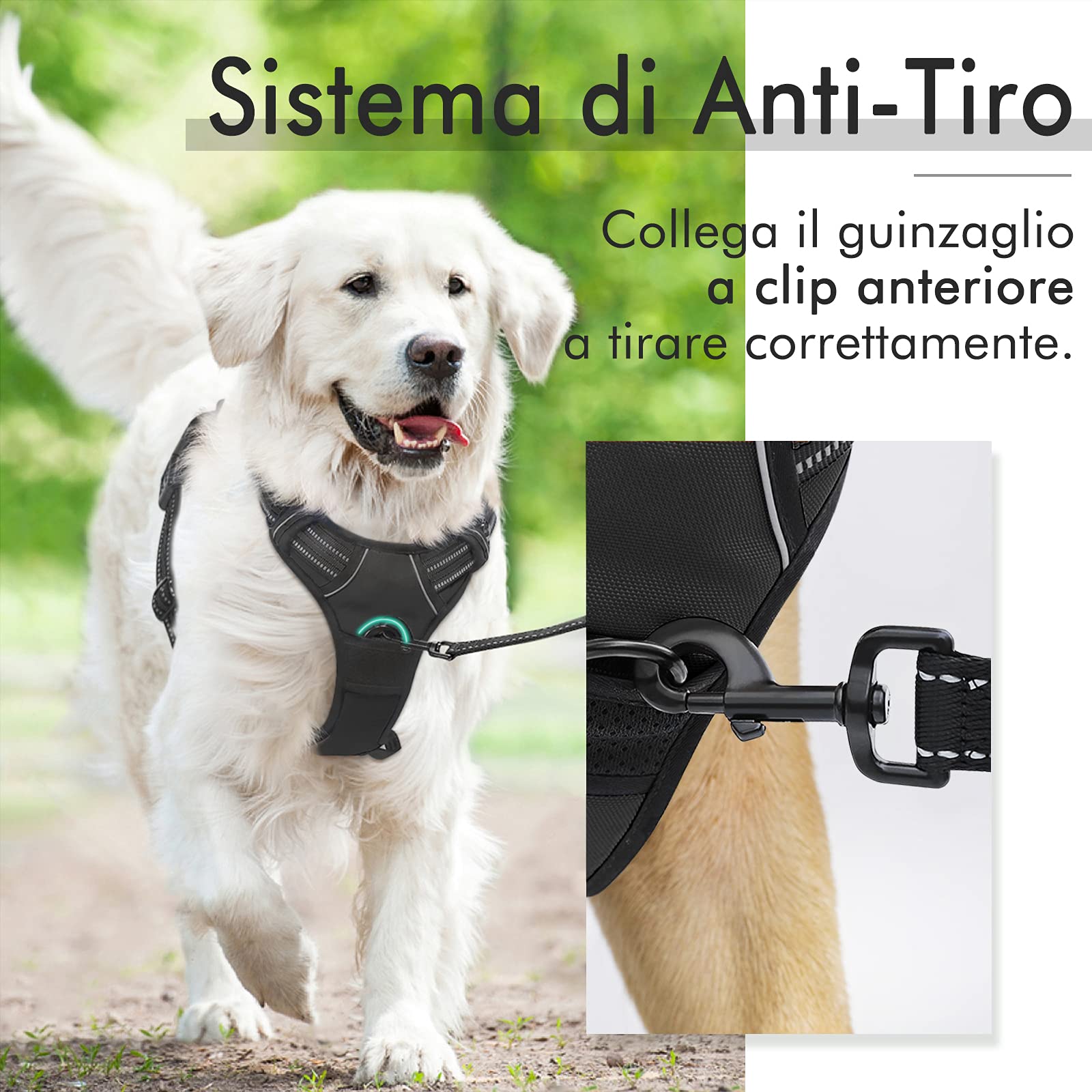 rabbitgoo Pettorina Cane Taglia Piccola, Pettorina Cane ad h Regolabile con 2 Ganci in Metallo, Imbracatura per Cani Anti Tiro Riflettente, Imbracatura Traspirante per Addestramento, Nero, XS