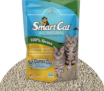 SmartCat All Natural Clumping Cat Litter, 10 Pound (160oz 1 Pack) - Alternative to Clay and Pellet Litter - Chemical and 99%
