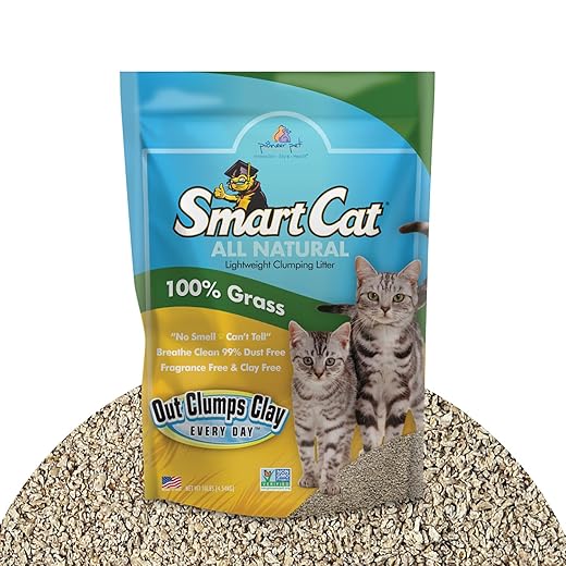 SmartCat areia natural para aglomeração