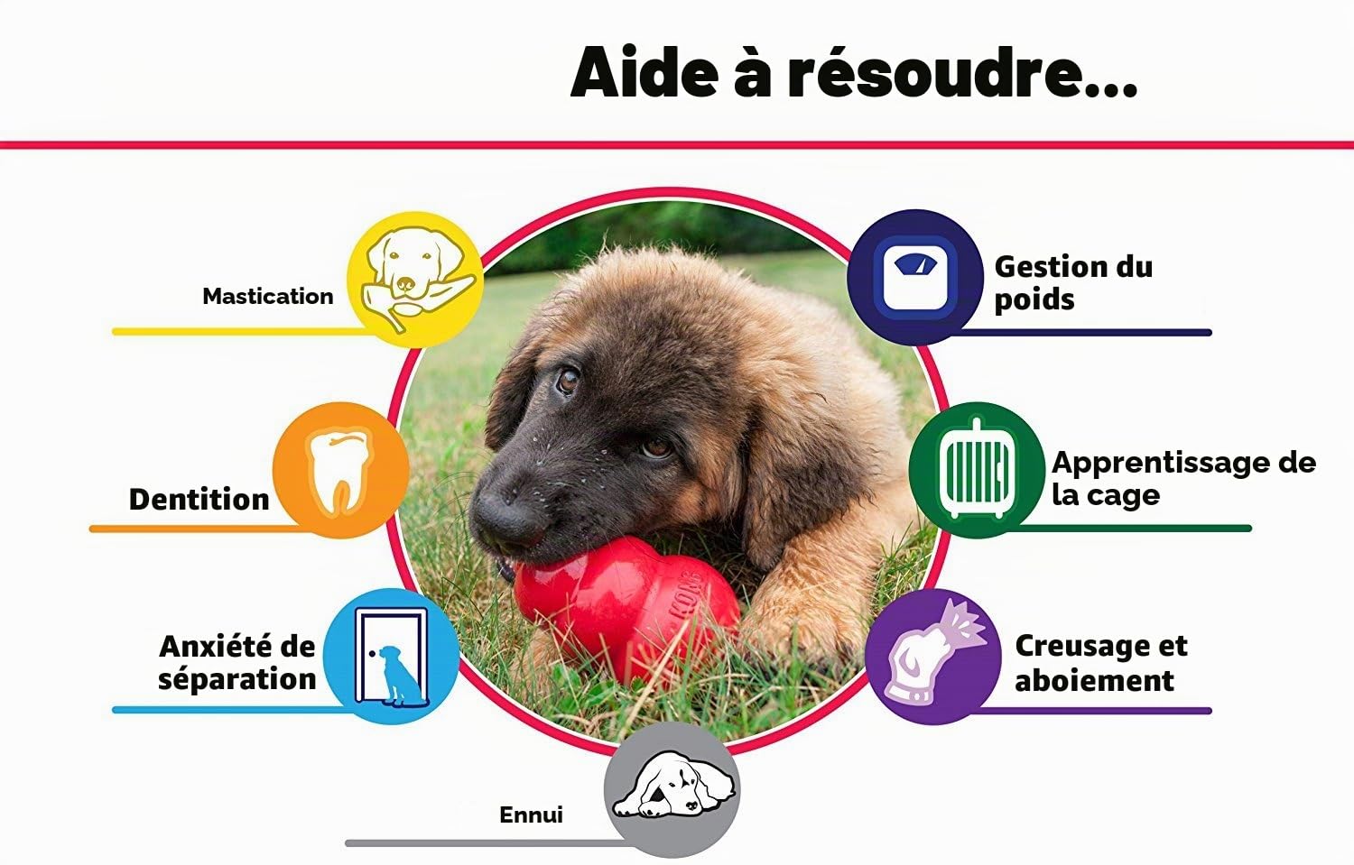 Kong Lot de 2 Grands Classiques pour Chien