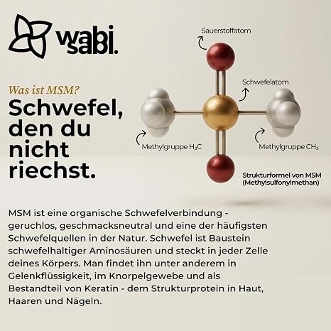 wabi sabi MSM Capsules - 365 Vegan Capsules - 1200 mg Methylsulfonylmethane (MSM) per Daily Dose - High Dose & Tested Supplement - MSM Dietary Supplement - German Quality Brand