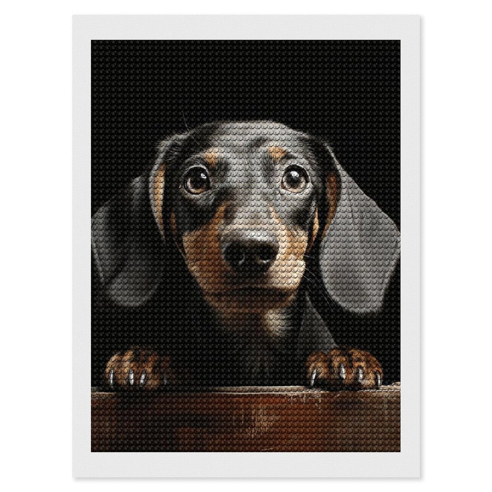 FodPand Diamond Art Kits for Adults, 5D Aurora Diamond Painting Kits for Beginners, Pad Dachshund DIY Full Drill Dots Gem Art Paint Crafts for Home Wall Decor 12"x16"