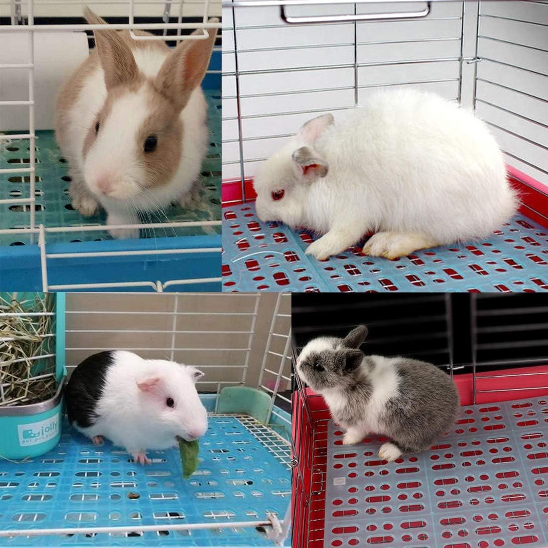 Plastic Rabbit Mat Snapklik.com : Hamiledyi 8 Pcs Rabbit Cage Mats Small Animal Plastic ...