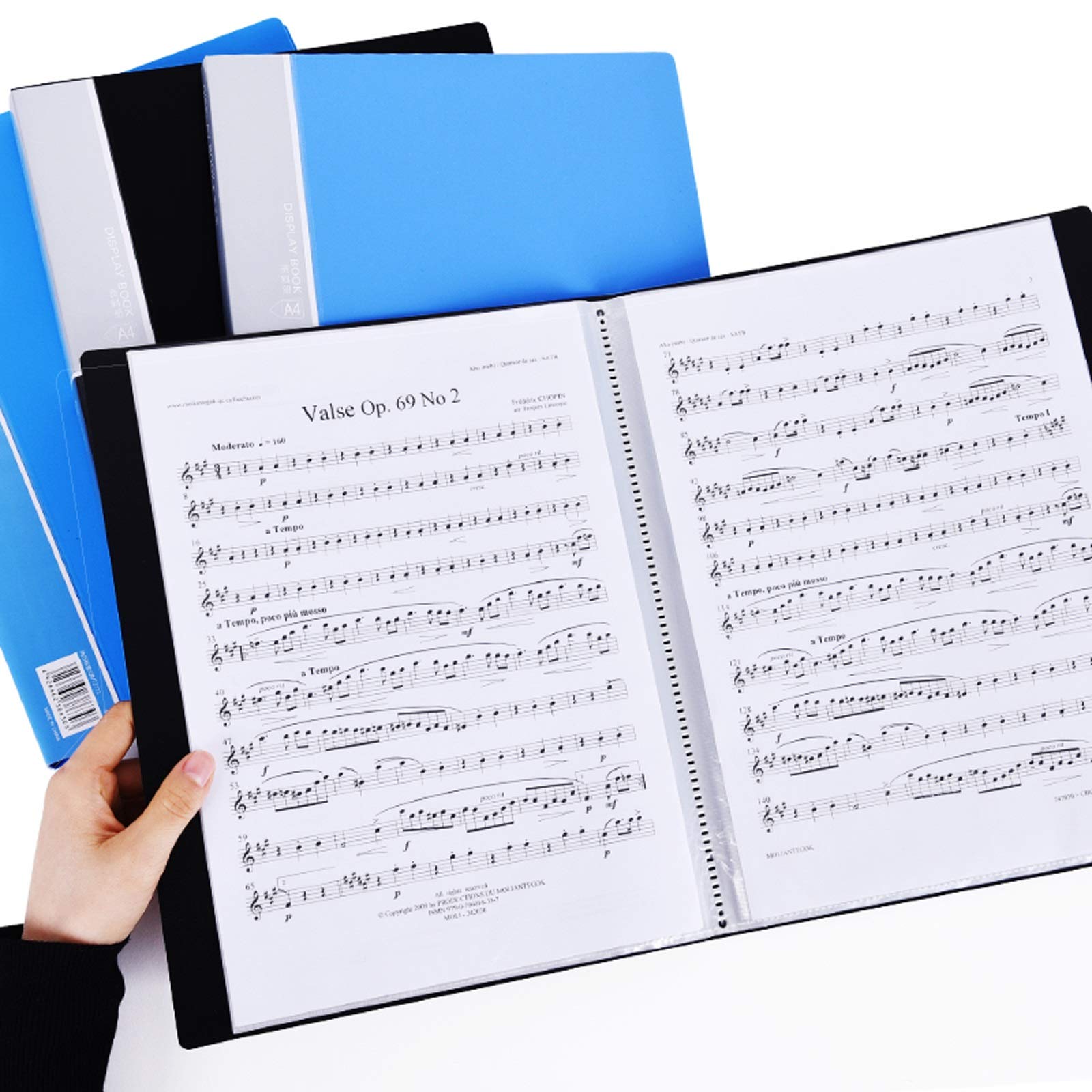 Dokumentenmappe A4-Ordnerbuch doppelseitig Transparenter innerer Seitenbericht Anzeigeordner Professional Geschenk-Lebenslauf/Geschäft/Interview (10 Packung) Dokumententaschen (Color : Blauw, Si