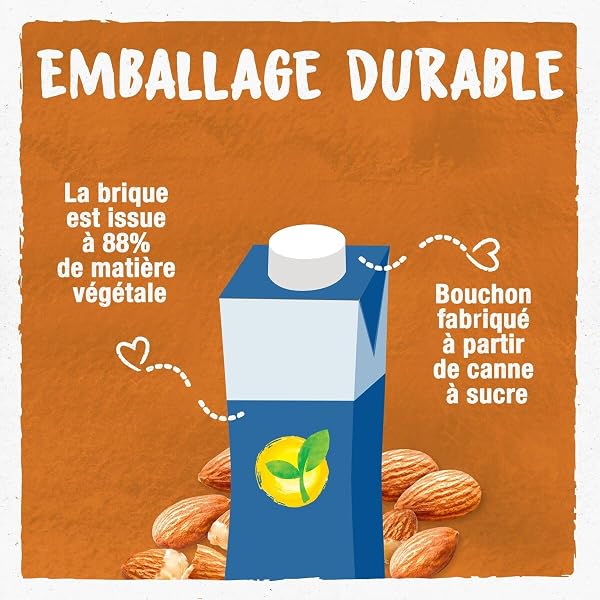 BJORG - Intense Almond Milk - Organic Vegetable Drink - Low in Saturated Fats - 3 Mini Bricks of 20 cl - 3
