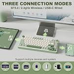 YUNZII B75 PRO Wireless Mechanical Keyboard,75% Gaming Keyboard Gasket Hot Swap Custom Keyboard with Knob,Pre-lubed Switches RGB,Bluetooth/Type-C/2.4G (Matcha Green, Cocoa Cream V2 Switch)