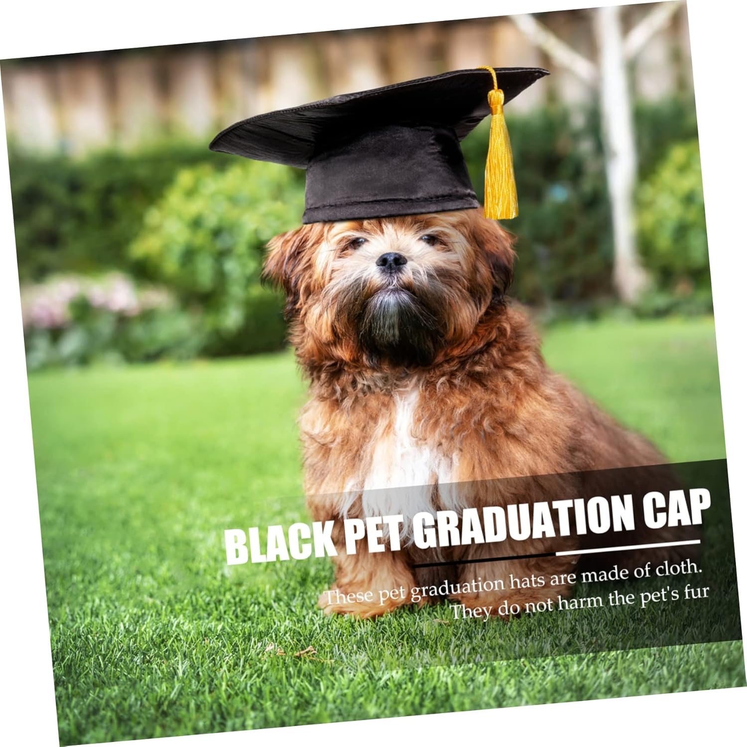 TEHAUX Dog Graduation Hat with Tassel Adjustable Pet Graduation Cap for Dogs and Cats DIY Creative Party Headgear Cloth Material 6.49 X 6.29 X 3.54 Inches - Image 8