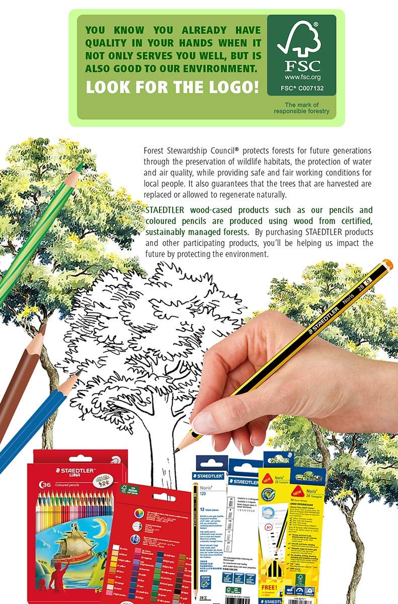 Staedtler Jumbo dzieci przedszkole 2B drewniane trójkątne ołówki i gumki pakiet dla początkujących łatwy w obsłudze zestaw do przedszkola