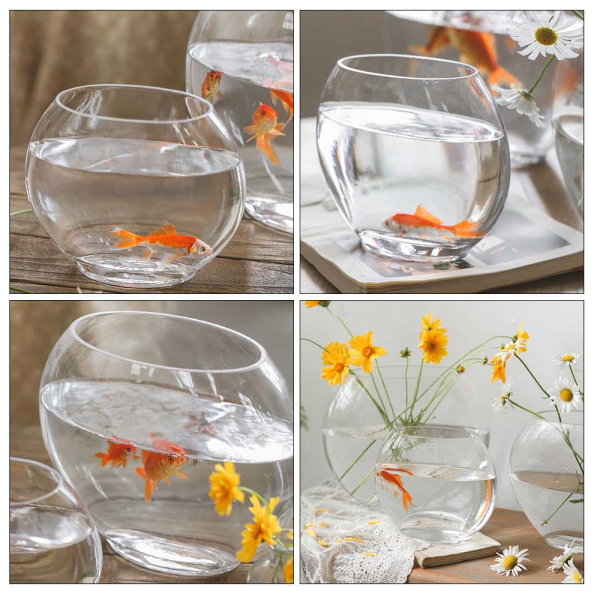 Aquarium en Verre Transparent pour Betta et Poissons, Réservoir Élégant en Verre Finement Travaillé, Accessoire Chic pour Décoration de Bureau ou Boutique