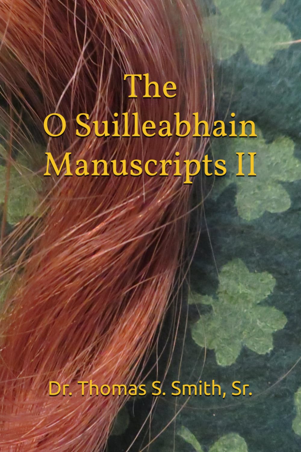 The O Suilleabhain Manuscripts II