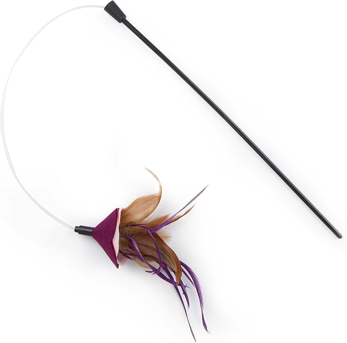 petlinks dragon flyer