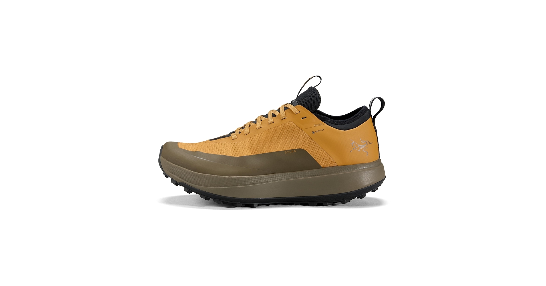Amazon.com | Arc'teryx Sylan GTX Shoe Men's | Gore-Tex