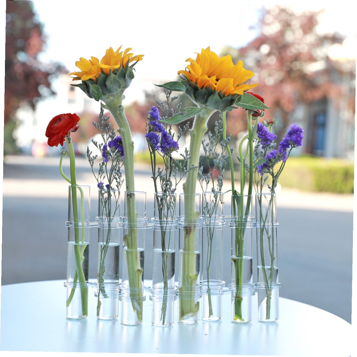 Vase Verre Transparent pour Propagation de Plantes Hydroponiques Grandes avec Crochet pour Décoration Intérieure Bureau et Jardin