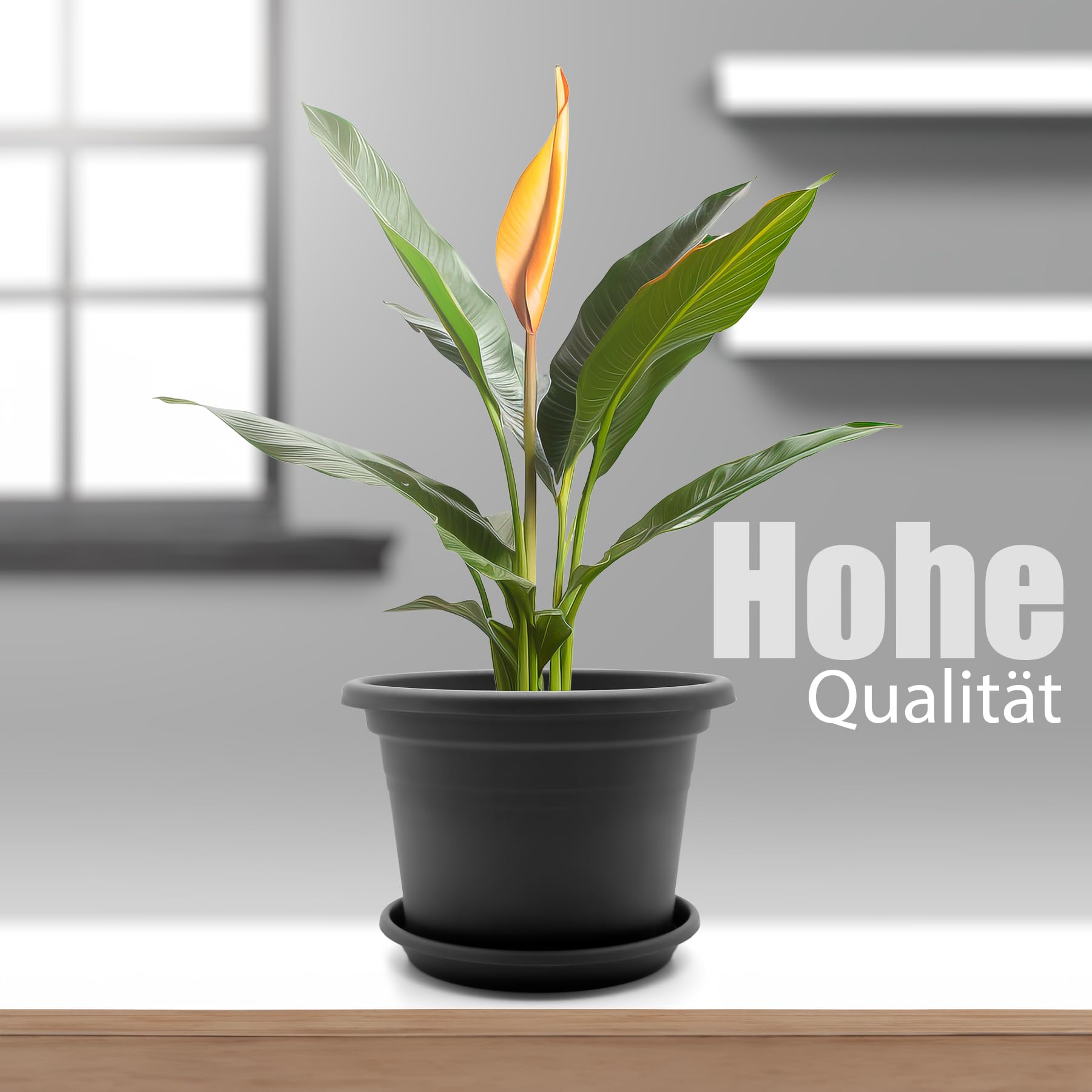 BigDean 8X Blumentopf mit Untersetzer rund ø 40 cm Anthrazit wetterfest