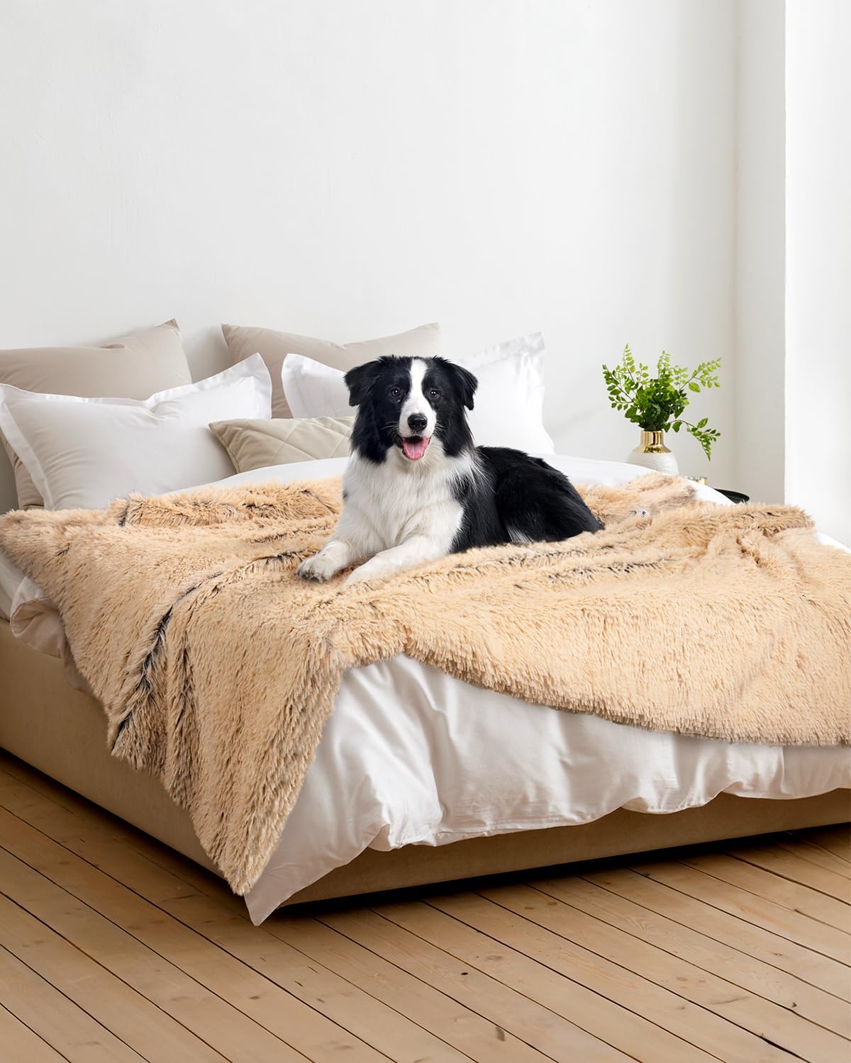 PJYuCien Dog Blankets for Large Dogs Washable - Fluffy Fuzzy Cat Blanket for Couch, Puppy Throw for Furniture with Polyester Fleece, Super Soft Plush for Pet Kitten Doggy, Brown, 60" x 80"