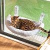 CATISM Foldable Cat Window Hammock - Semicircular Cat Bed - Reinforced Window Perchwith Strong Suction Cup - Sturdy Frame for Glass Windows and Interior WallsGray