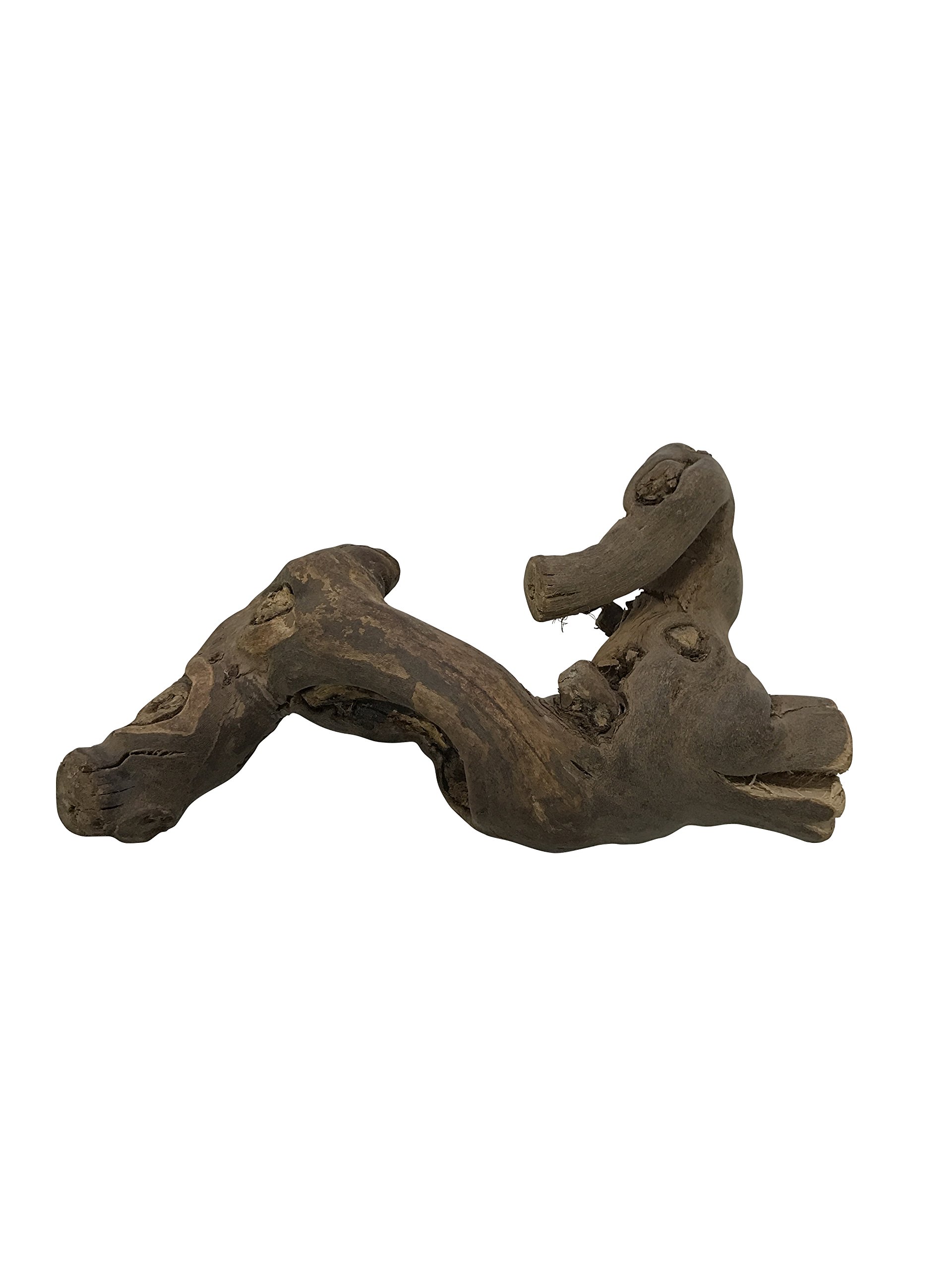 DEKO - 100% Natur Rebknorze/Rebenholz/Kletterholz für Terrarien aus pfälzer Weinstöcken – nachhaltiges, biologisches Produkt - Größe M - Länge ca. 25 cm - Breite ca. 12 cm - EINWEG
