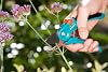 GARDENA 8854-20 Gardening Scissors Diameter 0.8 inches 20 mm, Bypass Type