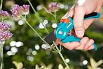 GARDENA 8854 Bypass Pruning Shears for Trees and Gardens