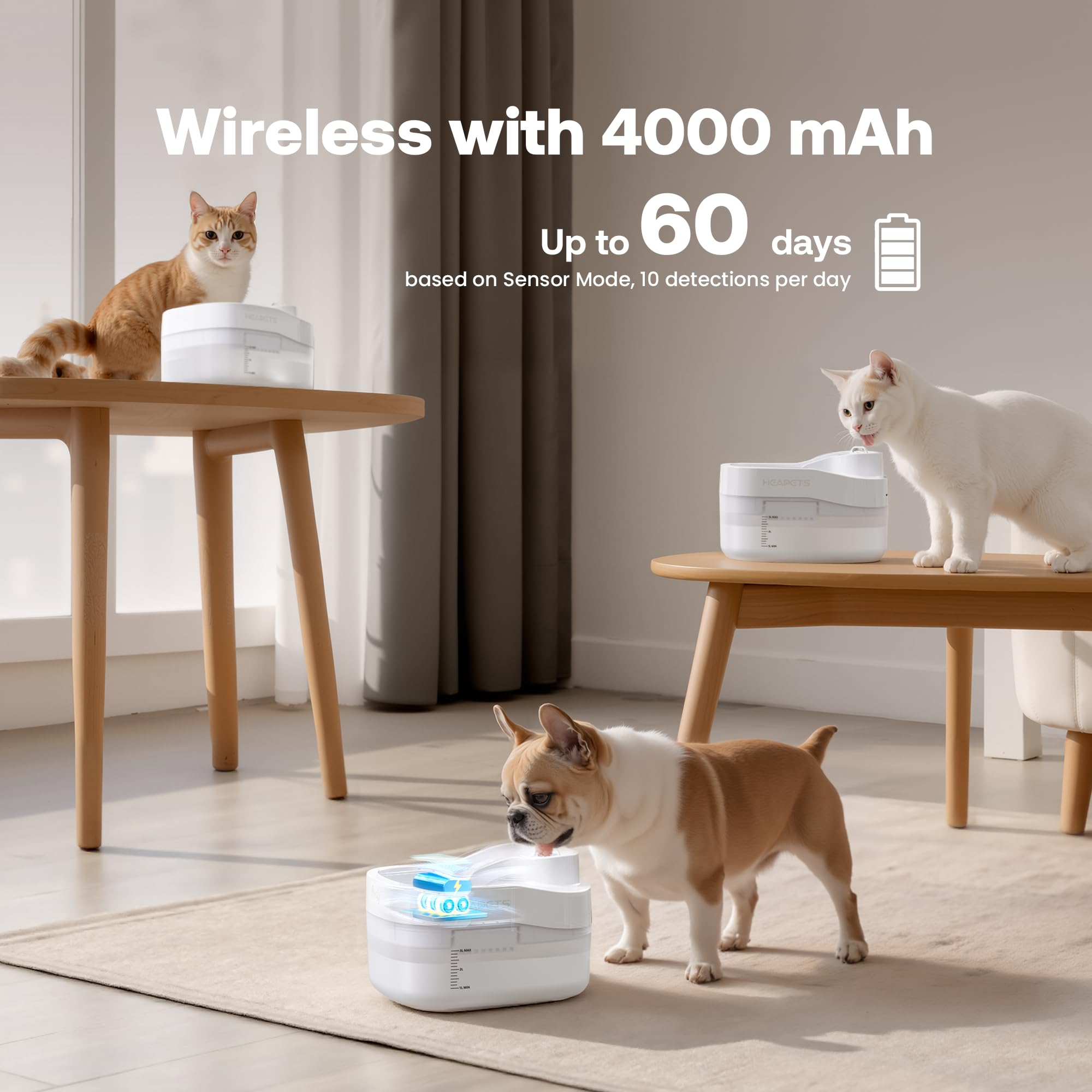 Dockstream - Fuente de agua para gatos, 3L/2,863.3 g, dispensador automático de agua para mascotas, para gatos, perros, beber con filtro de repuesto, bomba silenciosa, bandeja de acero inoxidable y