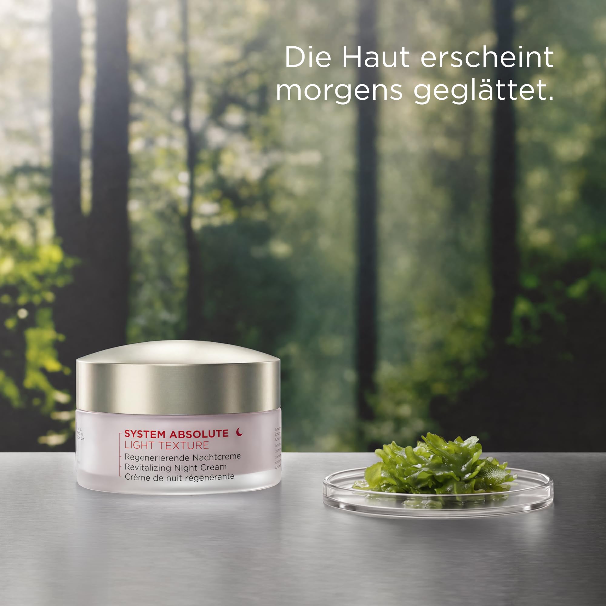 ANNEMARIE BÖRLIND SYSTEM ABSOLUTE Crema de noche regeneradora Light 50 ml