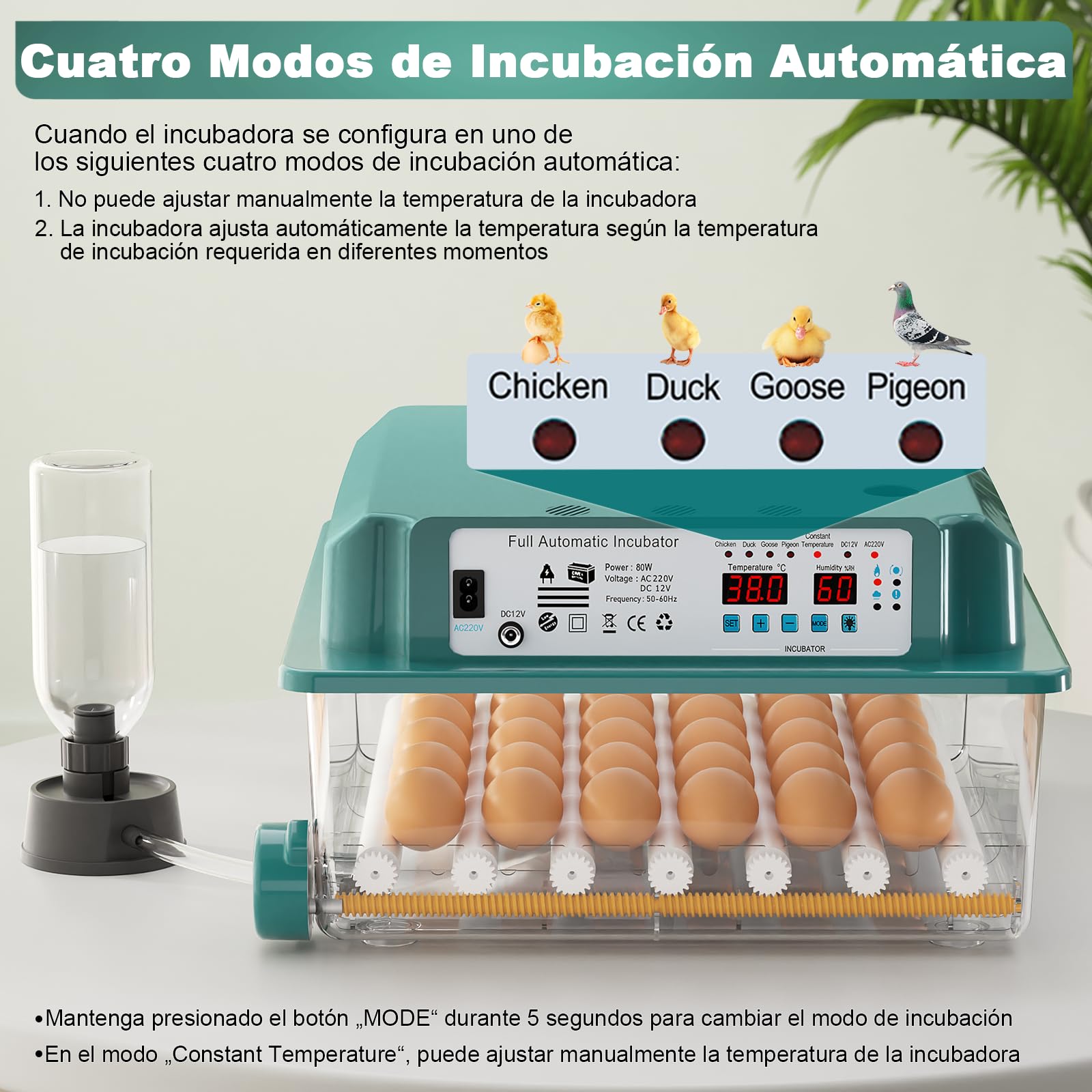CoInceptus Incubadora Huevos Gallina, Incubadora de 24-36 Huevos con Volteo Automático de Huevos y Adición Automática de Agua, Incubadora con 4 Modos de Incubación Automáticos