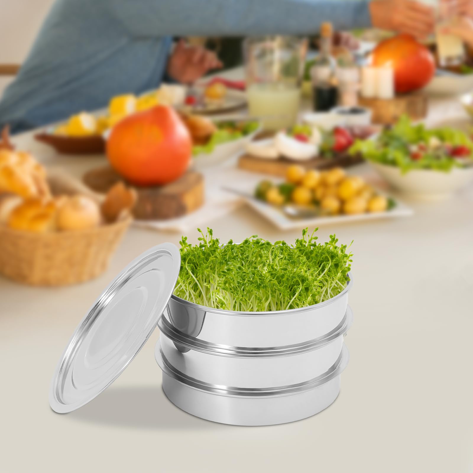 Bol de germination en acier inoxydable empilable pour planter différents types de graines et de haricots comme petits pois, argenté, 22 x 12,7 cm
